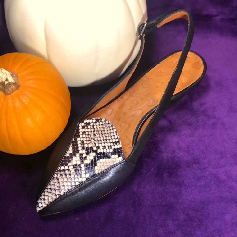 New! Chie Mihara Rusti